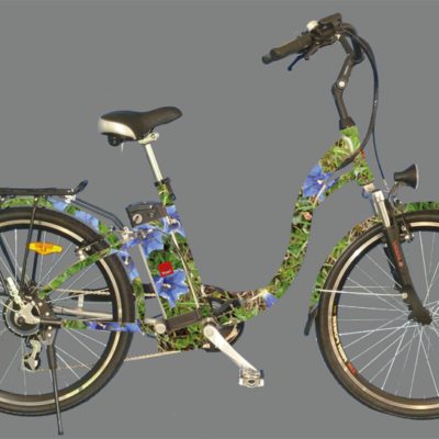 eBike flitzerli f2 ALPEN BLUMEN DESIGN