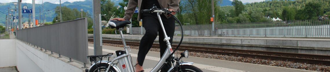 flitzerli eBike Akku 36V - Das farbigste eBike der Schweiz!