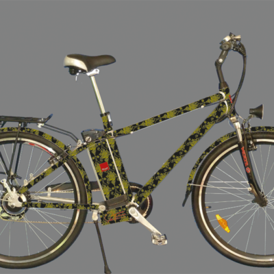 Ex-Miss-Schweiz 1999 und TV-Moderatorin Anita Buri designt jetzt flitzerli e-Bikes: "Ich stehe total auf den Retro-Style und auf Schlösser, deshalb sieht mein flitzerli e-Bike so aus."